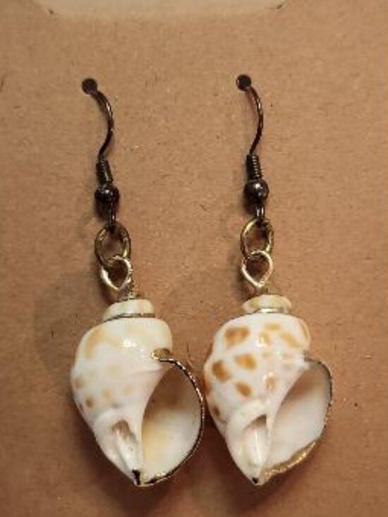Jewelry - Tiger Conch Shell Dangle Earrings